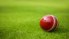 Red cricket ball